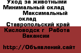 Уход за животными › Минимальный оклад ­ 10 000 › Максимальный оклад ­ 20 000 - Ставропольский край, Кисловодск г. Работа » Вакансии   